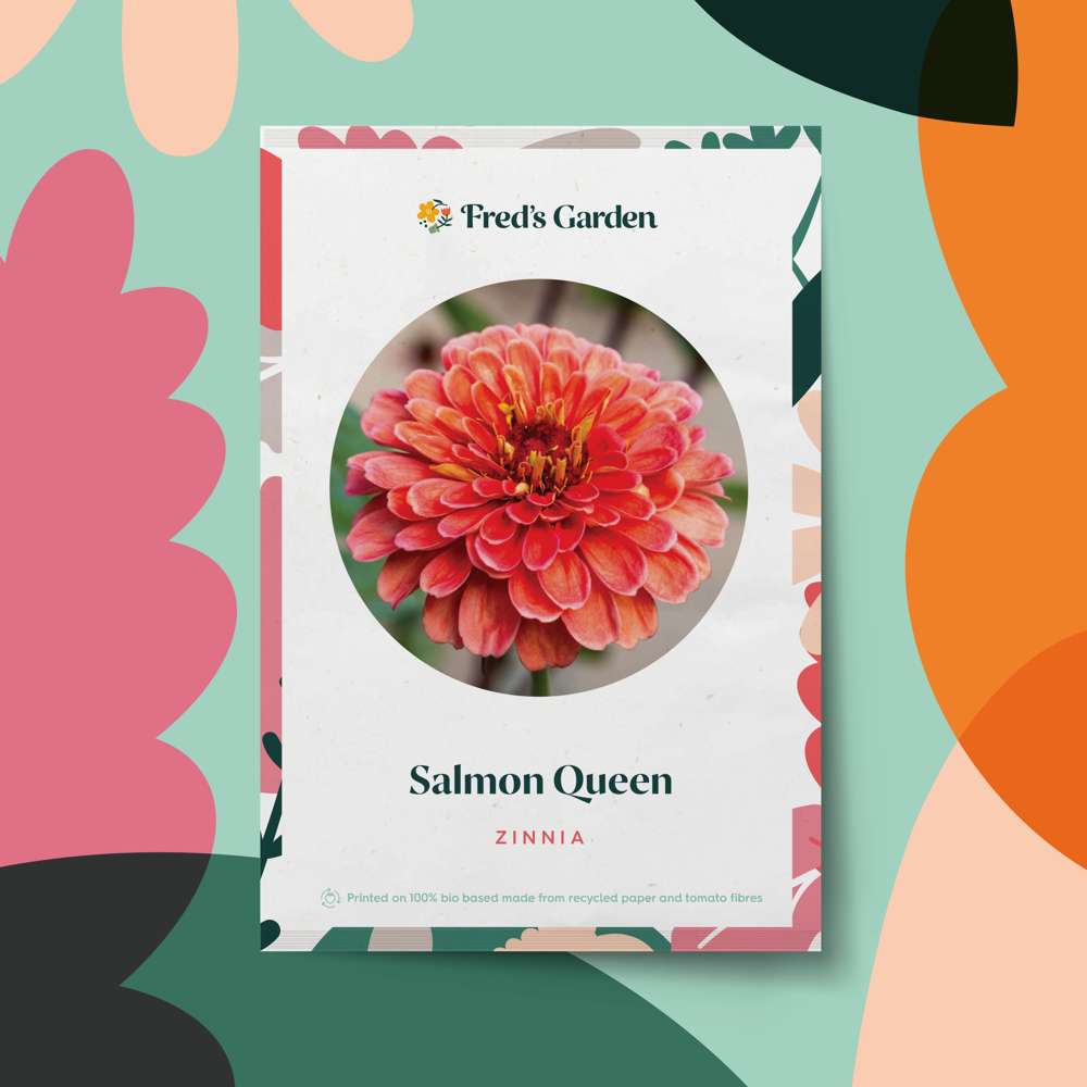 Zinnia 'Salmon Queen' (frø)